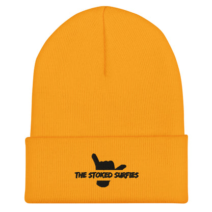 Cuffed Beanie