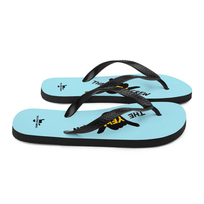 Flip-Flops